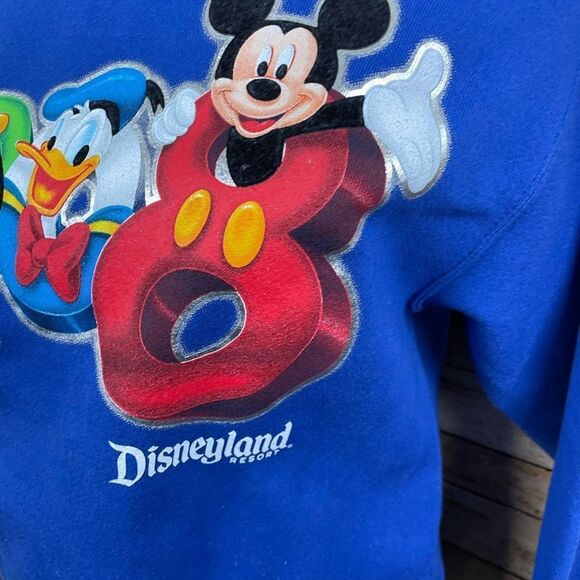 Disneyland Resort 2008 Sweatshirt sz Small - Picture 3 of 4